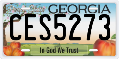 GA license plate CES5273