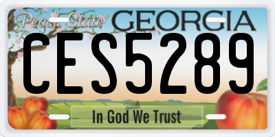 GA license plate CES5289