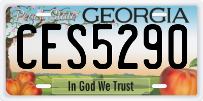 GA license plate CES5290