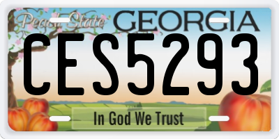 GA license plate CES5293