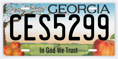 GA license plate CES5299
