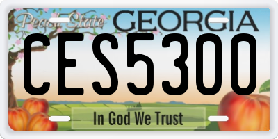 GA license plate CES5300