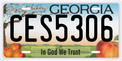 GA license plate CES5306