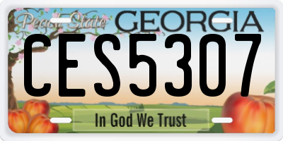 GA license plate CES5307