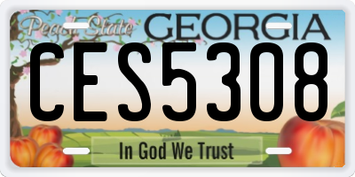 GA license plate CES5308