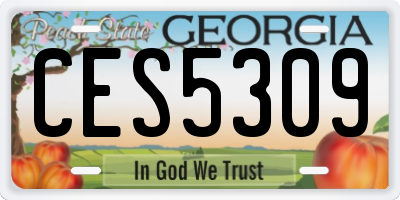 GA license plate CES5309
