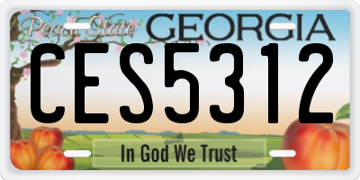 GA license plate CES5312
