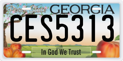 GA license plate CES5313