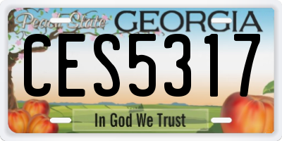 GA license plate CES5317