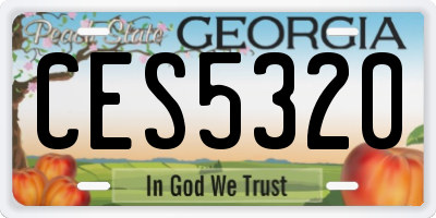 GA license plate CES5320