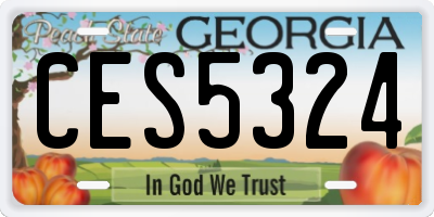 GA license plate CES5324