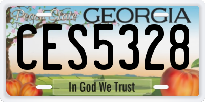 GA license plate CES5328