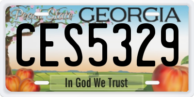 GA license plate CES5329
