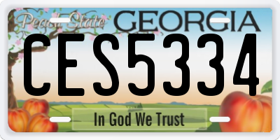 GA license plate CES5334