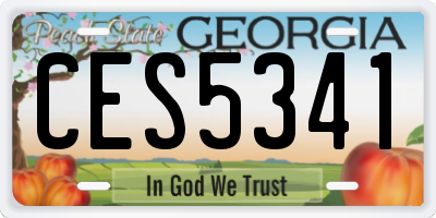 GA license plate CES5341