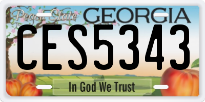 GA license plate CES5343