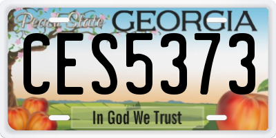GA license plate CES5373
