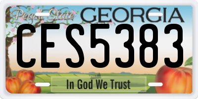 GA license plate CES5383