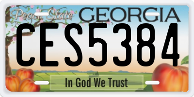 GA license plate CES5384