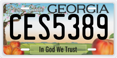 GA license plate CES5389