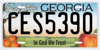 GA license plate CES5390