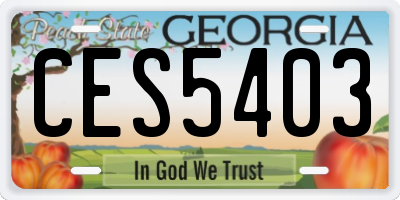 GA license plate CES5403