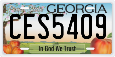 GA license plate CES5409