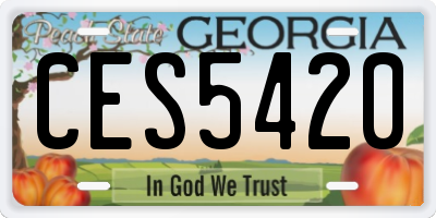 GA license plate CES5420