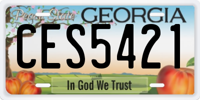 GA license plate CES5421
