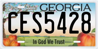 GA license plate CES5428