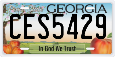 GA license plate CES5429