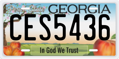 GA license plate CES5436