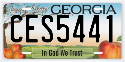 GA license plate CES5441