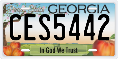 GA license plate CES5442