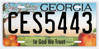 GA license plate CES5443