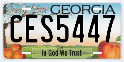 GA license plate CES5447