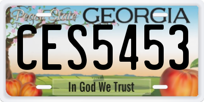 GA license plate CES5453