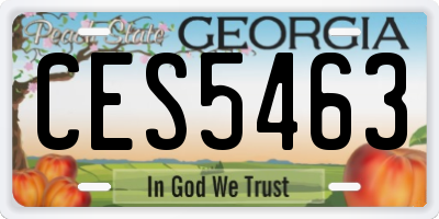 GA license plate CES5463