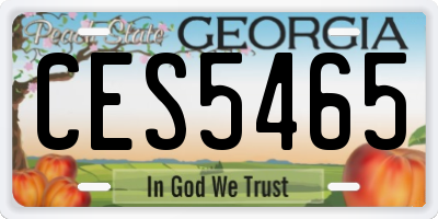 GA license plate CES5465