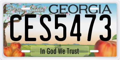 GA license plate CES5473