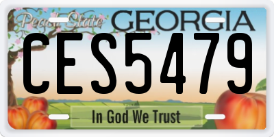 GA license plate CES5479