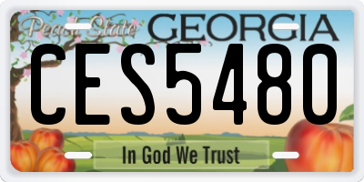 GA license plate CES5480