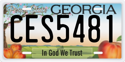 GA license plate CES5481