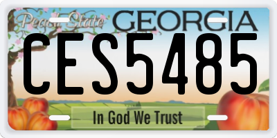 GA license plate CES5485