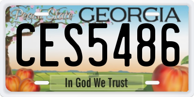 GA license plate CES5486