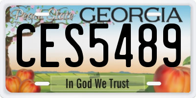 GA license plate CES5489