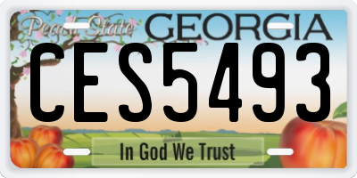 GA license plate CES5493