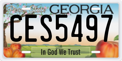 GA license plate CES5497