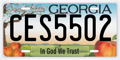 GA license plate CES5502