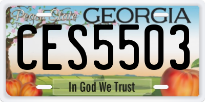 GA license plate CES5503